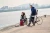 p705.29__p705.295__2016.webp